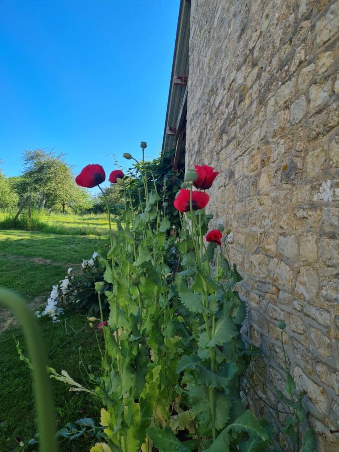 Bed and Breakfast Domaine De La Cour Vautier Mandeville-en-Bessin Zewnętrze zdjęcie